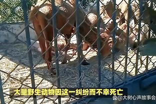 江南手游app在哪下载安装